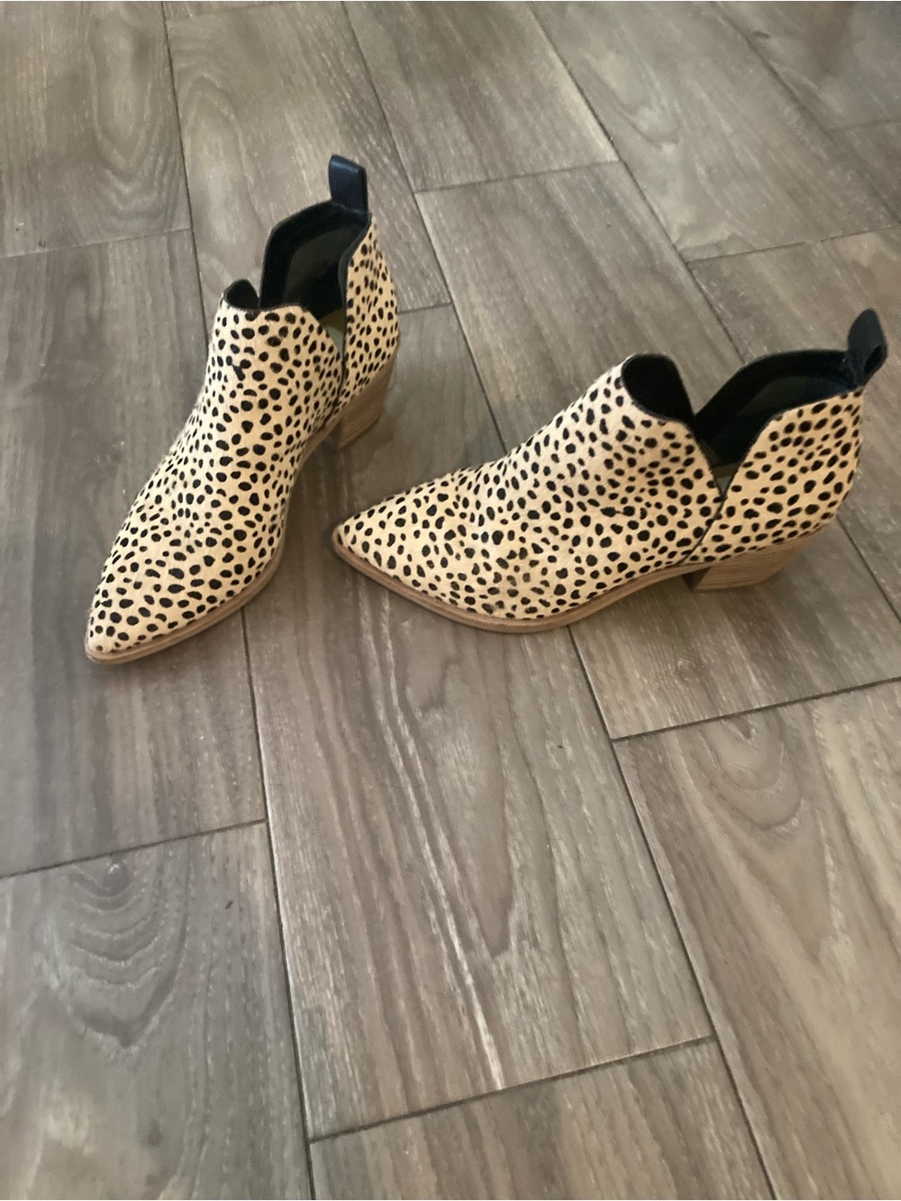 Dolce Vita Leopard-Print Pointed-Ankle Booties in Tan and Black